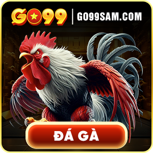 Đá gà go99sam.com