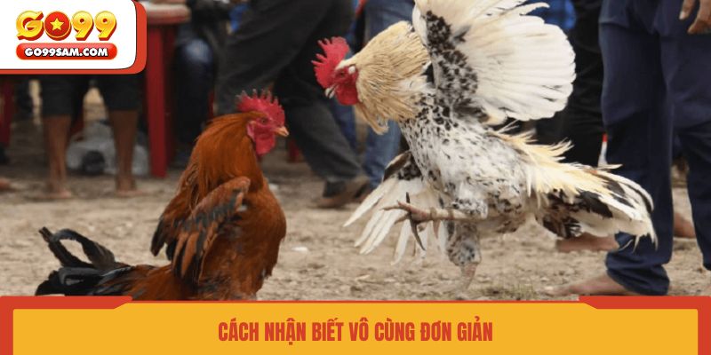 cach-nhan-biet-vo-cung-don-gian