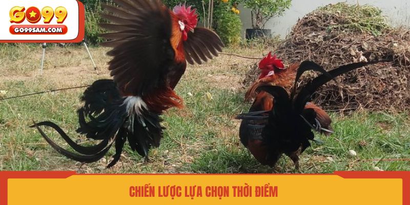 chien-luoc-lua-chon-thoi-diem