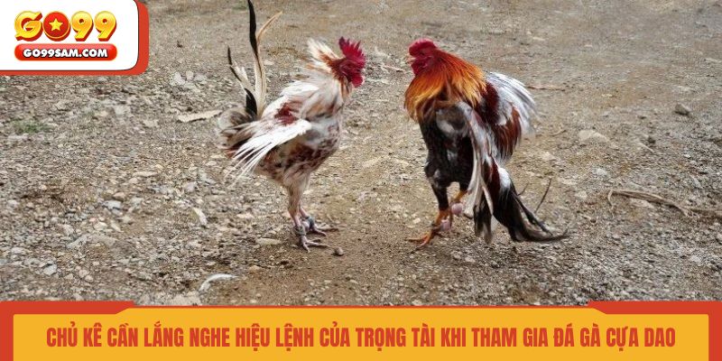 chu-ke-can-lang-nghe-hieu-lenh-cua-trong-tai-khi-tham-gia-da-ga-cua-dao