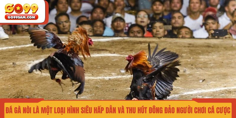 da-ga-noi-la-mot-loai-hinh-sieu-hap-dan-va-thu-hut-dong-dao-nguoi-choi-ca-cuoc