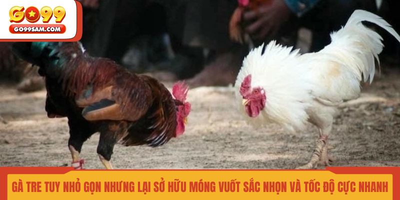 ga-tre-tuy-nho-gon-nhung-lai-so-huu-mong-vuot-sac-nhon-va-toc-do-cuc-nhanh