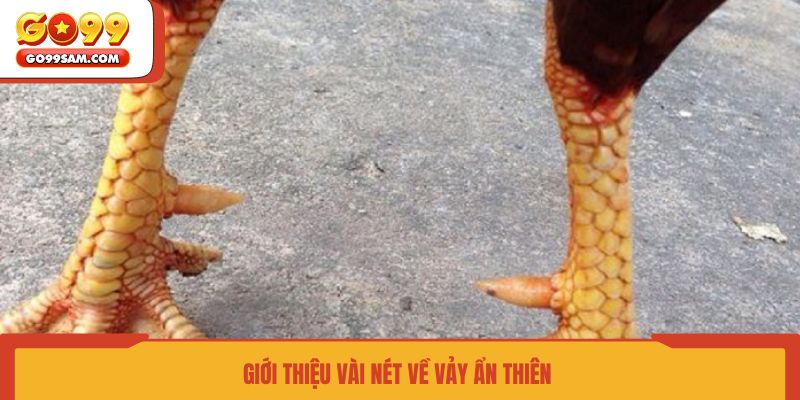 gioi-thieu-vai-net-ve-vay-an-thien