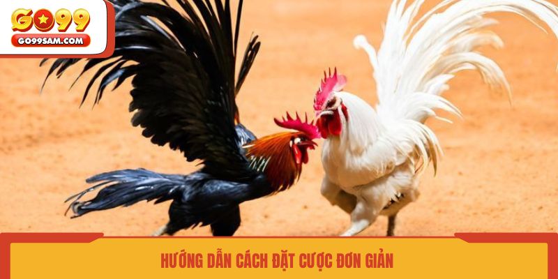 huong-dan-cach-dat-cuoc-don-gian