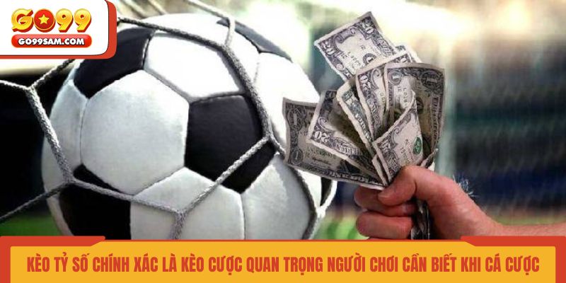 keo-ty-so-chinh-xac-la-keo-cuoc-quan-trong-nguoi-choi-can-biet-khi-ca-cuoc