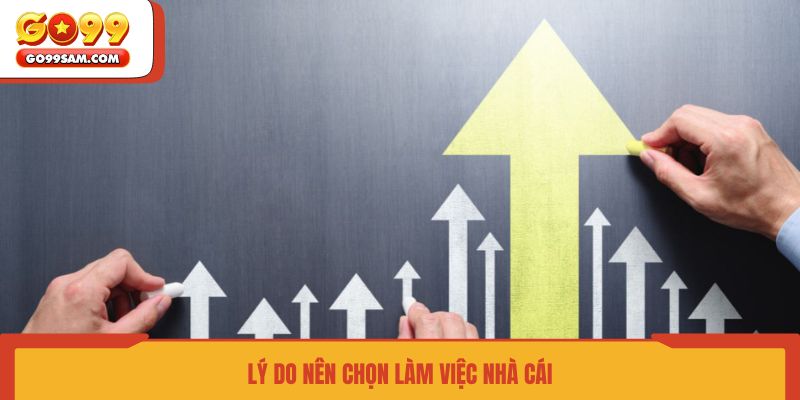ly-do-nen-chon-lam-viec-nha-cai